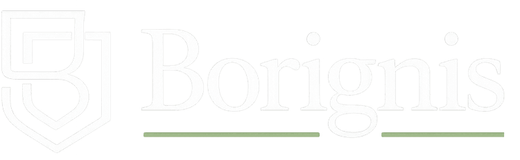 Borignis logo